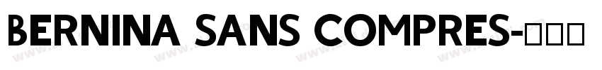 BERNINA SANS COMPRES字体转换